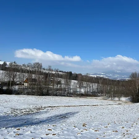 Goldenbach 度假居