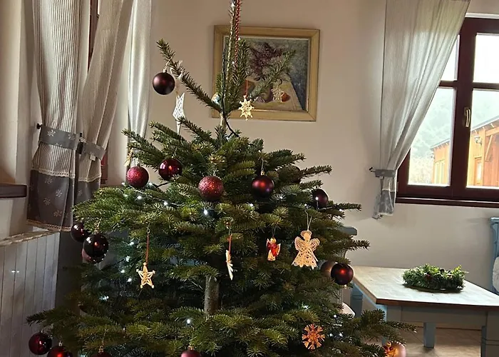 Goldenbach Prázdninový dům